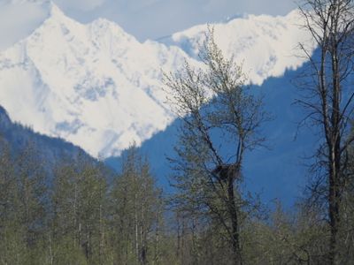Eagle's nest