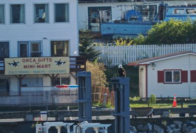 Send off from the harbour master