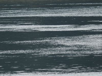 Ripples in William Henry Bay