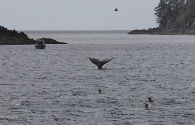 Vancouver to Alaska cruise expedition 2025