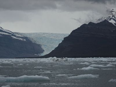 Icy Bay