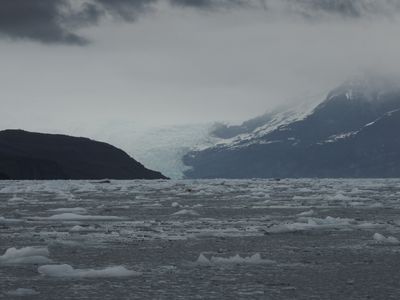 Icy Bay