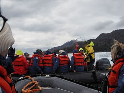 Waving Hi in Icy Bay