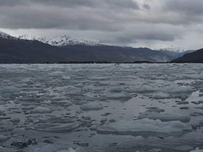 Icy Bay