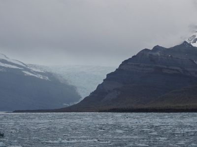 Icy Bay
