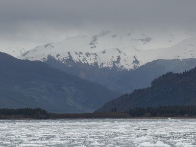 Icy Bay