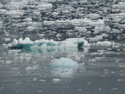 Icy Bay