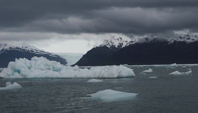 Icy Bay