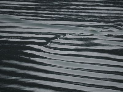 Ripples on the surface as we are getting to Cordova