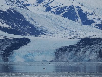 College Fjord - Harvard glacier