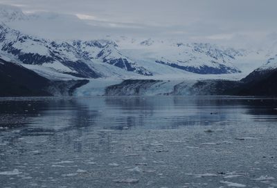 College Fjord - Harvard glacier