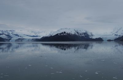 College Fjord - Harvard Arm to the left and Yale Arm to the right