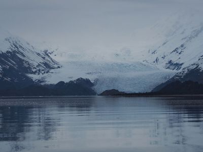 College Fjord - Yale Arm