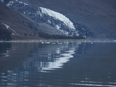 College Fjord - early morning