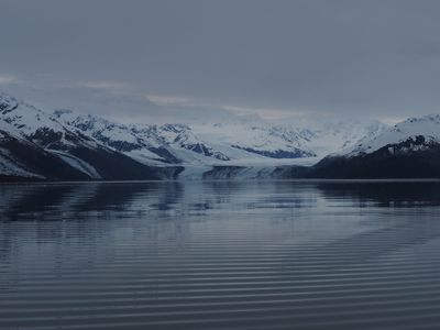 College Fjord - early morning