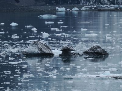 College Fjord - ice chunks