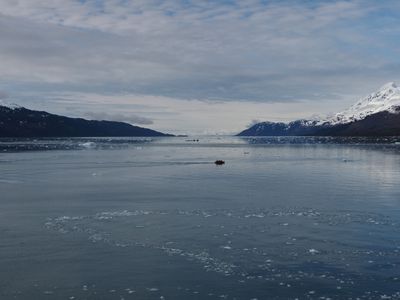 College Fjord - looking south