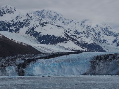 College Fjord - Harvard glacier with sea lions resting on plaques