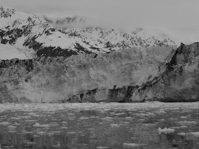 College Fjord - Harvard Glacier BW