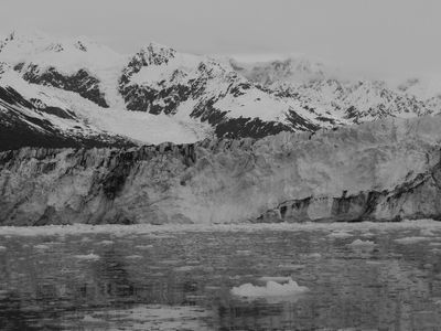 College Fjord - Harvard Glacier BW