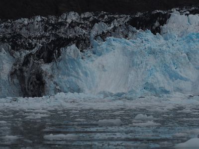 College Fjord - Harvard glacier
