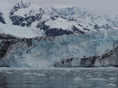 College Fjord - Harvard glacier