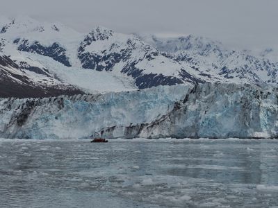 College Fjord - Harvard glacier
