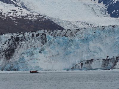 College Fjord - Harvard glacier