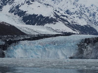 College Fjord - Harvard glacier