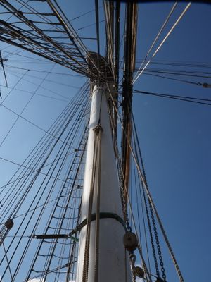 g13/78/1628378/3/175578604.43261a29.JPEG