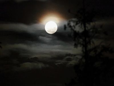 The Moon
