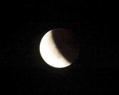 g13/78/1628378/3/175795608.9cfe813f.JPEG