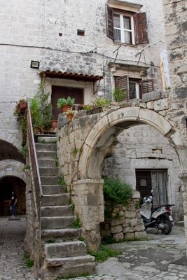 IMG_3462_1.jpg