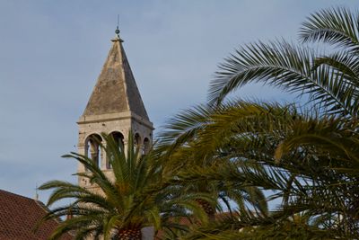 IMG_3473_1.jpg