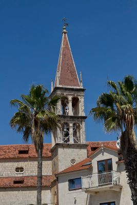 IMG_3558_1.jpg