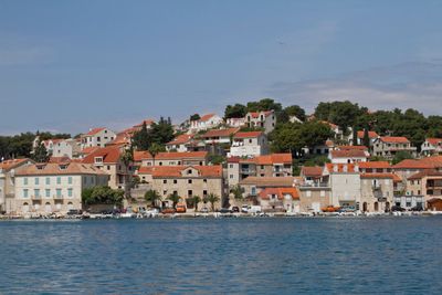 IMG_3559_1.jpg