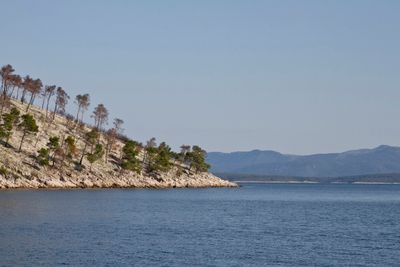 IMG_3598_1.jpg