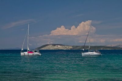 IMG_3668_1.jpg
