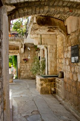 IMG_3690_1.jpg