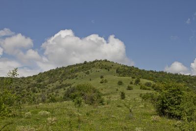IMG_0816_1_2.jpg