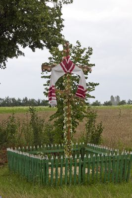 IMG_0854_1_2.jpg
