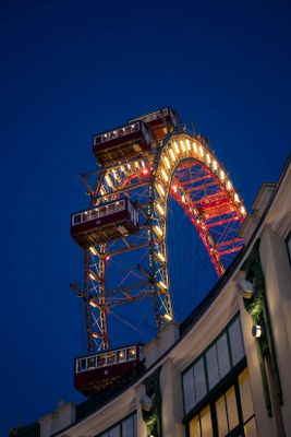 IMG_7048_1.jpg