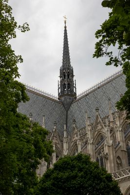 IMG_7133_1.jpg