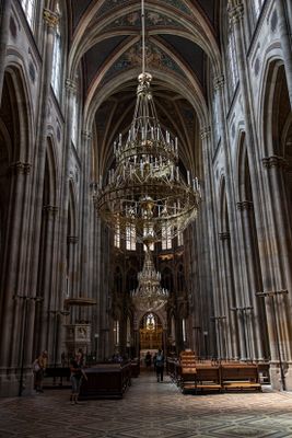 IMG_7135_1.jpg