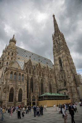 IMG_7182_1.jpg
