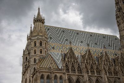 IMG_7185_1.jpg