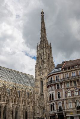 IMG_7186_1.jpg
