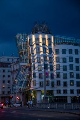 IMG_7987_1.jpg
