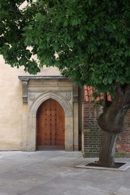 IMG_8032_1.jpg
