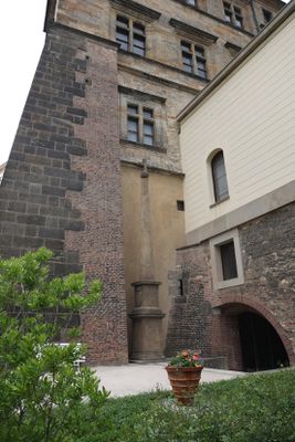 IMG_8035_1.jpg